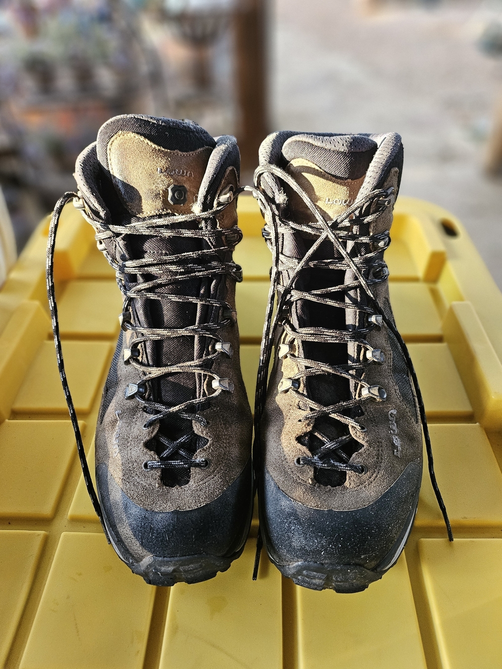 Men’s Lowa Corvara GTX Mid Hiking/Backpacking Boots - Size 14